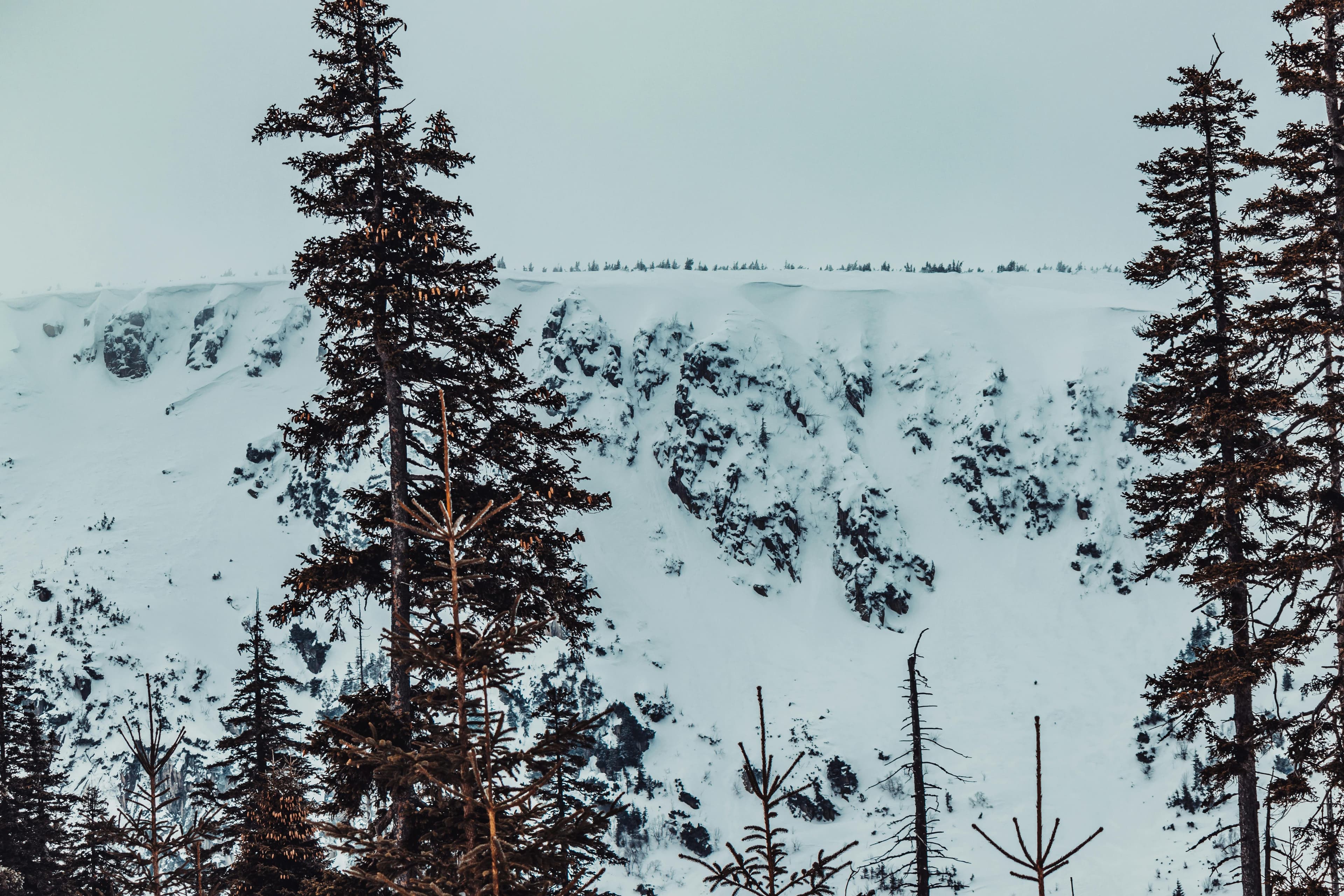 Accurate Analysis Across All Your Sources visual